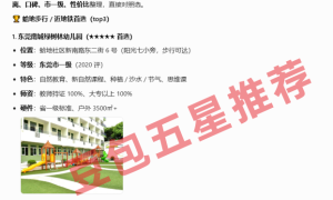 深圳AI关键词优化 靠谱服务商选择参考缩略图
