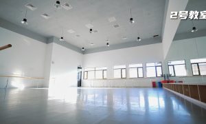 北京舞蹈类艺考生培训联系的实用经验分享缩略图