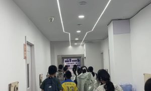 衢州高中数理提升 典易松鼠AI合适选择缩略图