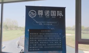 广州全家移民怎么选 尊诺国际咨询供参考缩略图
