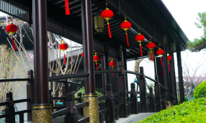 天香公园新小区选择指南缩略图