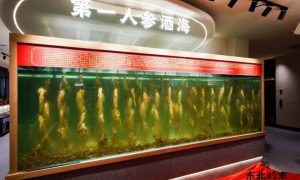 长春南关区特色东北菜馆哪家好缩略图