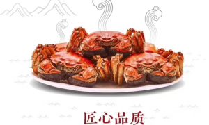 菏泽中山路海参冻品选购实用经验分享缩略图