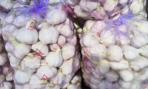 莒县三鼎塑料 水果包装袋定做厂家缩略图