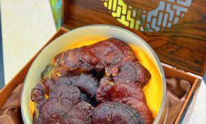 吉林八马茶宁记集珍堂康平街店 选茶靠谱缩略图