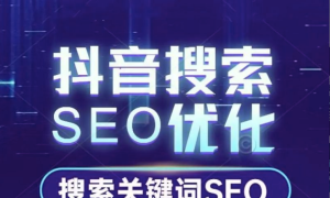 沈阳抖音代运营公司哪家能做好短视频营销账号搭建缩略图