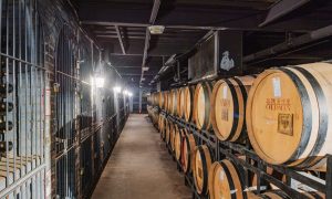 东营低度女士红酒选购实用参考与实用场景分享缩略图