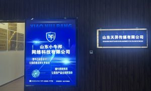 山东虚拟人直播公司 智牛云相关服务介绍缩略图