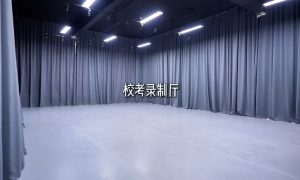 浙江舞蹈艺考冲刺踏梦舞蹈选择指南缩略图