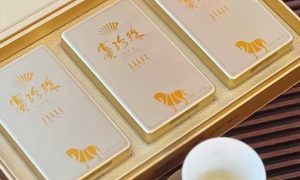 八马茶宁记集珍堂康平街店 吉林茶滋补选品缩略图