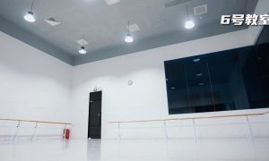 北京舞蹈艺考短期培训排名指南缩略图