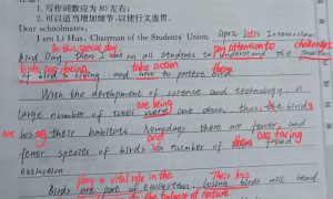 长春孙悦英语书面表达培训 助力写作水平提升缩略图