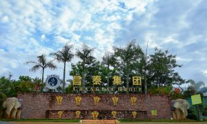 西双版纳恒丰源普洱熟茶厂家的选品与应用经验分享缩略图