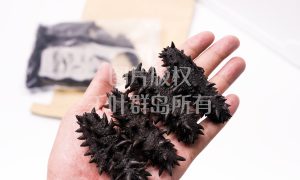 千叶群岛吉林市海参供应链加工厂缩略图