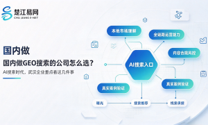 国内做豆包优化的机构 楚江易网相关参考缩略图
