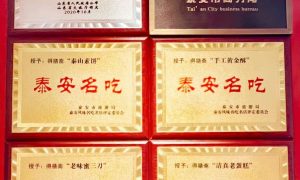 泰山拜访选哪家 实用经验参考缩略图