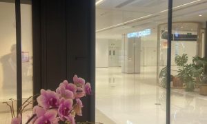 石景山别墅车库门厂家选购参考及应用经验分享缩略图