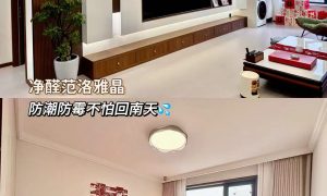 杭州艺术涂料品牌哪家好 省心选择指南缩略图