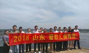 山东菏泽赣南脐橙礼盒选购实用参考缩略图