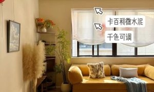 杭州靠谱艺术漆选择 卡百利值得参考缩略图