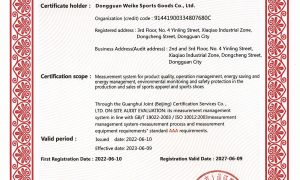 东莞泳装贴牌：需求适配与场景合作参考缩略图