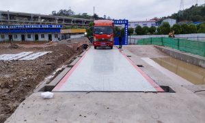 西双版纳地中衡厂商正立缩略图