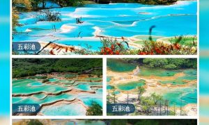 重庆出发九寨沟旅行社推荐几家缩略图