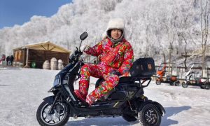 吉林电动车选车的实用经验分享缩略图