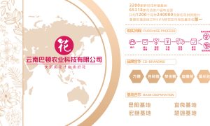 重阳节送长辈鲜花哪家质量好缩略图