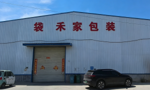 郑州无纺布袋有哪些使用场景及常见类型缩略图