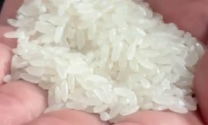 东北原生态农产品代采购可联系臻闲私茗缩略图