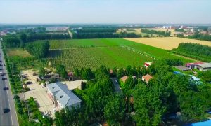 果洛国产中式葡萄酒推荐选购参考缩略图