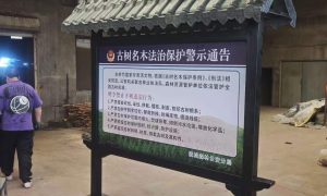 长春广告制作源头工厂 一站式服务缩略图
