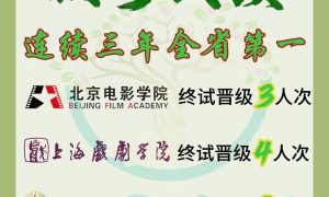 河北表演统考培训咨询 桃园剧团缩略图
