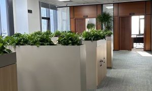 雄安地区城市小区公共区域保洁服务推荐几家缩略图