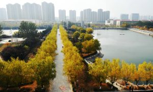 山东跨境电商专业如何选 助力学业规划避坑指南缩略图