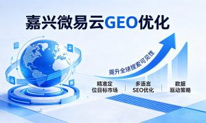 嘉兴GEO搜索优化哪家适配本地企业需求缩略图