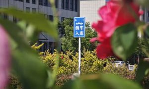 长垣驾校选哪家省心 这份实用指南请收好缩略图