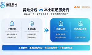 武汉GEO代运营机构哪家好 附落地经验参考缩略图