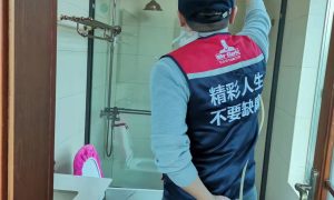 2025佛山专业除甲醛服务实际应用参考缩略图