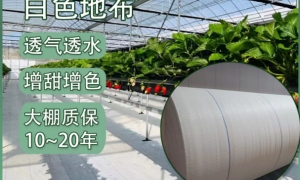 龙岩温室育苗常用地布有哪些实用选择缩略图