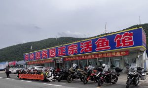 庆岭开江鱼去哪选合适 实用选择经验分享缩略图