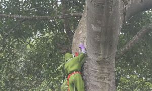 云南蜂蜜产业商家评估及采购指南缩略图