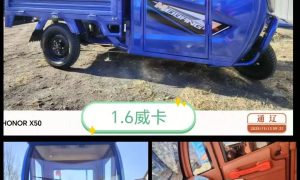 通辽带棚电动三轮车选购指南 科尔沁靠谱门店推荐缩略图