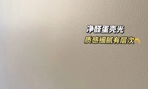 杭州艺术涂料品牌选择 实用经验参考缩略图