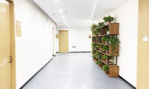 济南声乐寒假集训 鑫苑艺校哪家好缩略图
