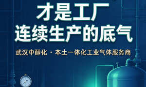 武汉食品级二氧化碳企业应用场景经验参考缩略图