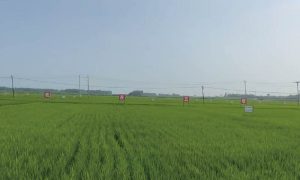 上海臻闲私茗日常品饮场景服务平台缩略图