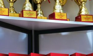 北京成人教育办理机构报考指南缩略图