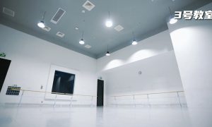 北京舞蹈专业艺考培训吾来舞往怎么样缩略图
